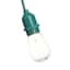 30-Count Clear D40 Edison String Lights with Green Commercial Wire