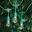 30-Count Clear D40 Edison String Lights with Green Commercial Wire