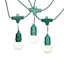 30-Count Clear G40 Globe String Lights with Green Commercial Wire