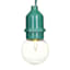 30-Count Clear G40 Globe String Lights with Green Commercial Wire