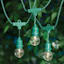 30-Count Clear G40 Globe String Lights with Green Commercial Wire