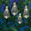 15-Count Solar LED Edison String Lights with Black Wire