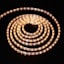 Clear Rope Light, 15'