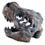 Brown T-Rex Fossil Head, 6"