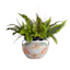 Hand Painted Talavera Outdoor Planter, Small