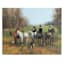 Providence Hunting Canvas Wall Art, 28x22