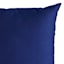 Navy Blue Canvas Outdoor Throw Pillow, 16"