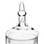Honeybloom Clear Glass Apothecary Jar, 15"
