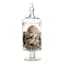 Honeybloom Clear Glass Apothecary Jar, 15"