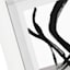 White Double Mat Wide Wall Frame, 6x8