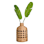 Tracey Boyd Natural & Black Wicker Woven Bottle Vase, 24"