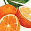 Oranges Canvas Wall Art, 16x20