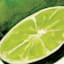Lime Canvas Wall Art, 16x20