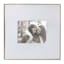 18x18 Matted to 8x10 Frame, Gold