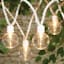 40-Count Clear G40 Globe String Lights with White Wire
