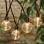 40-Count G40 Clear Globe String Lights with Black Wire