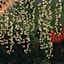 200-Count LED Willow Tree String Lights