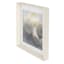 Ty Pennington Glass Framed Shells Print Wall Art, 16"