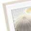 Ty Pennington Glass Framed Shells Print Wall Art, 16"
