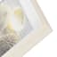 Ty Pennington Glass Framed Shells Print Wall Art, 16"