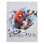 Spiderman Canvas Wall Art, 11x14