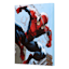 Spiderman Canvas Wall Art, 11x14