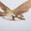 Honeybloom Framed Birds Canvas Wall Art, 36x12