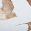 Honeybloom Framed Birds Canvas Wall Art, 36x12