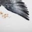 Honeybloom Framed Birds Canvas Wall Art, 16x20