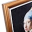 Glass Framed Girl with A Pearl Earring Print Wall Art, 17x20