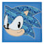 Sonic Canvas Wall Art, 12"