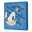 Sonic Canvas Wall Art, 12"