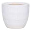Found & Fable Indoor White Glazed Ceramic Nico Pot, 5.1"