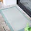 (E516) Fifer Aqua Border Outdoor Accent Rug, 2x4