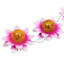 Set of 3 Solar Pink Flowers with Crackle Globes