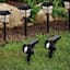 6-Pack Solar Landscape Lighting Kit, 4 Pathway Lights & 2 Spot Lights