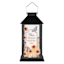 Bless This Home Outdoor Solar Lantern, 13"
