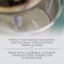 Nostaglia 2-Speed Electric Milkshake Maker