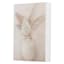 Tracey Boyd Painted Botanical Vase Block, 6x8