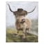Highland Hipster Cow Art, 6x8