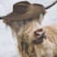 Highland Hipster Cow Art, 6x8