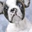 Free Kisses Frenchie Art, 8"