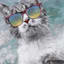 Wave Rider Cat Art, 6x8