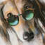 Too Cool Dog Art, 6x8