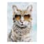 Too Cool Cat Art, 6x8