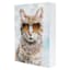 Too Cool Cat Art, 6x8
