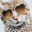 Too Cool Cat Art, 6x8