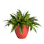 Red Egg Shaped Synthetic Outdoor Planter, Small