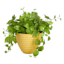 Sunny Club Yellow Beehive Outdoor Planter, Small