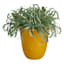 Honeybloom Ares Orange Outdoor Planter, Medium